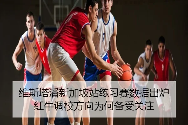维斯塔潘新加坡站练习赛数据出炉 红牛调校方向为何备受关注