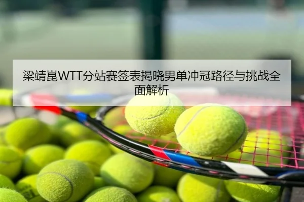 梁靖崑WTT分站赛签表揭晓男单冲冠路径与挑战全面解析